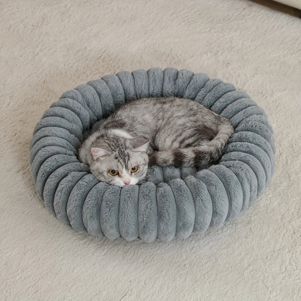 Cat lying on a plush gray pet bed on a light beige carpet