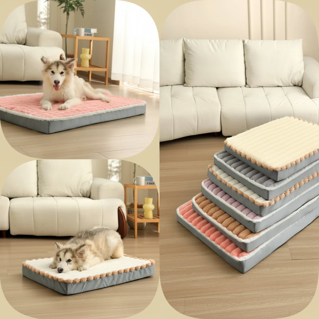 Dog lying on a pink pet bed in a living room setting with additional pet beds stacked together.
