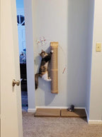 Wall-Mounted Cat Scratching Post & Furniture – Sisal, Hammock & Step Options for Indoor Cats