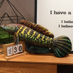 Fish Plush Pillow, Styles A–H, 40–100cm | BHH Living