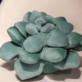 Succulent Plush Cushion Pillow | Lifelike Potted Plant | PP Cotton | 4 Colours | 35 & 45cm