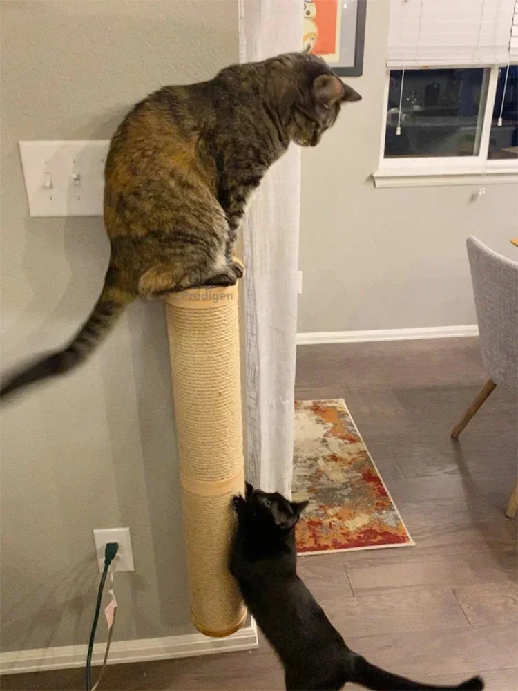 Wall-Mounted Cat Scratching Post & Furniture – Sisal, Hammock & Step Options for Indoor Cats