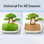 Pine Tree Cat Bed & Scratch Board | 2-in-1 | Removable Washable Cushion | Green & Light Green