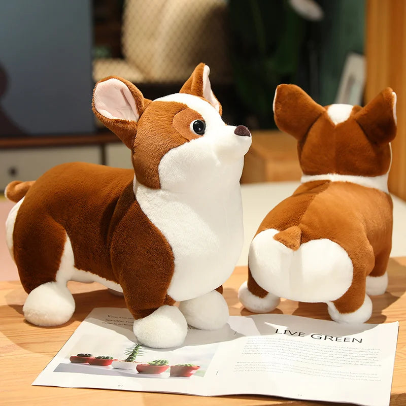 Kawaii Corgi Dog Plush Stuffed Toy | Cotton | 3 Sizes 23–45cm