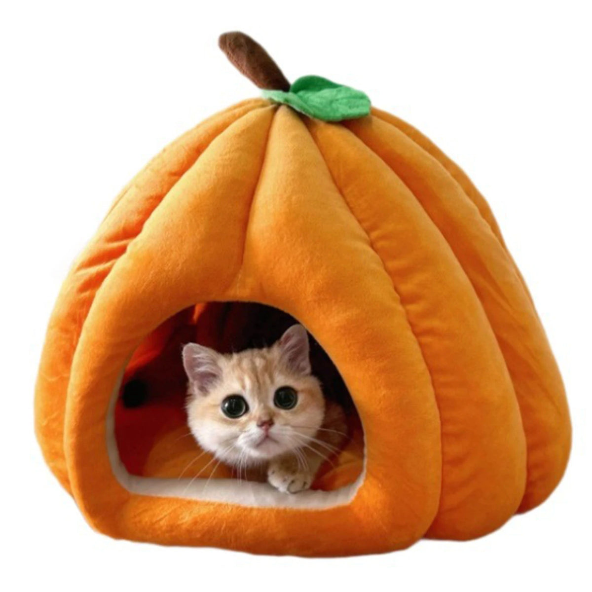 Pumpkin Cat House | Semi-Enclosed Pet Bed | Crystal Velvet | 3 Sizes | 3 Colours