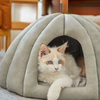 Pumpkin Cat Nest | Semi-Enclosed Pet Bed | Windproof & Warm | Non-Slip | 3 Sizes