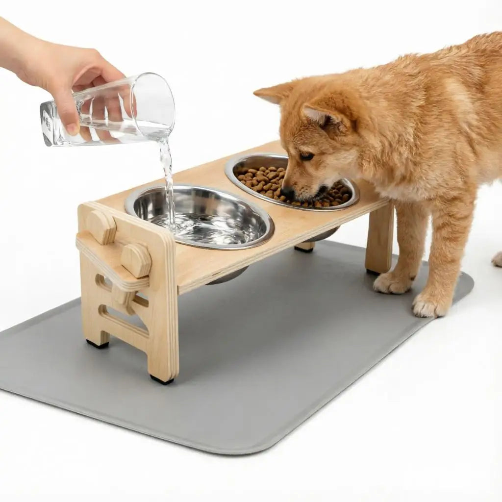 Elevated Dog & Cat Bowls with Food Mat | 15° Tilted Stand | Stainless Steel