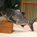 Plush Fish Cat Toy, Styles 1–14, 30–40cm | BHH Living