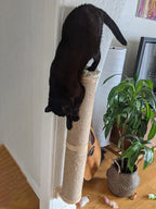 Wall-Mounted Cat Scratching Post & Furniture – Sisal, Hammock & Step Options for Indoor Cats