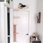 Wall-Mounted Wooden Cat Climbing Shelves – Modular Platforms, Scratching Posts & Hammock