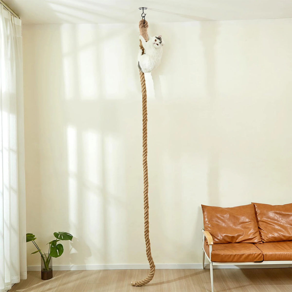 Cat Sisal Climbing Rope – 3m, Ceiling & Wall Mounted, Indoor Scratching & Exercise