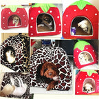 Strawberry Pet Cave Bed – Soft Fleece House for Cats & Small Dogs, S–XL