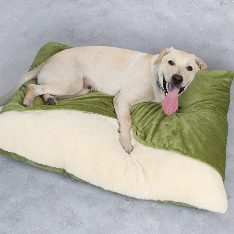 Coral Fleece Sofa Pet Bed | Removable Cushion | Bite-Resistant | Washable | 3 Sizes