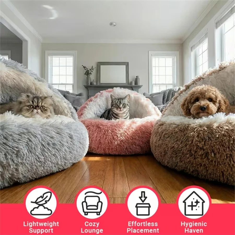 Shell-Shaped 2-in-1 Pet Bed | Semi-Enclosed Cat Nest | Plush | 3 Sizes