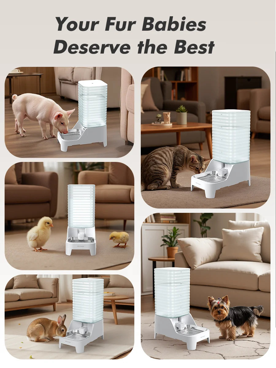 8L Gravity Pet Water Dispenser | Stainless Steel | Patented Leak-Free Faucet
