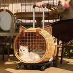 Handwoven Rattan Pet Trolley Carrier – Wheeled Tote Bag for Cats & Dogs, 2 Styles