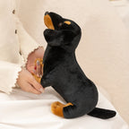 Lifelike Dachshund Plush Stuffed Toy | Black & Tan | 2 Sizes 25–35cm