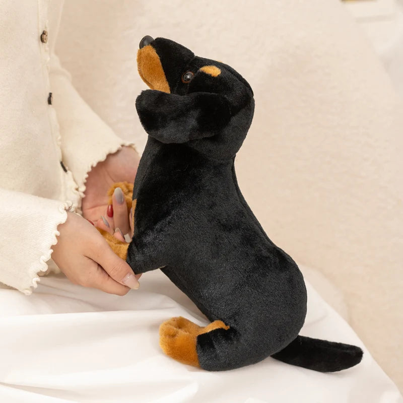Lifelike Dachshund Plush Stuffed Toy | Black & Tan | 2 Sizes 25–35cm