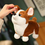 Kawaii Corgi Dog Plush Stuffed Toy | Cotton | 3 Sizes 23–45cm
