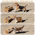 Elevated Dog & Cat Bowls with Food Mat | 15° Tilted Stand | Stainless Steel