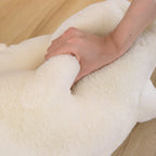 Kawaii Duck Plush Stuffed Toy | Standing & Sleeping Pillow Forms | PP Cotton | 5 Sizes