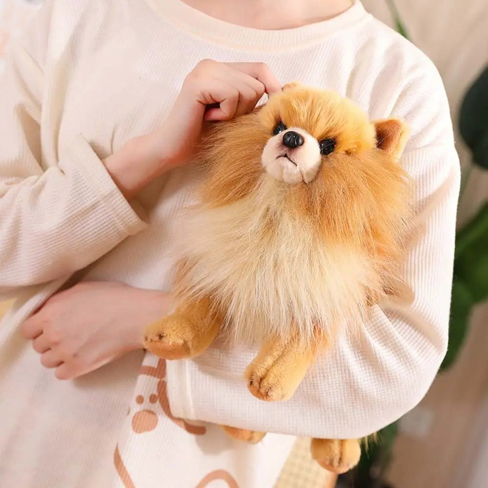 Lifelike Pomeranian Plush Stuffed Toy | Standing Pose | 3 Coat Styles | Simulation Plush | 26cm