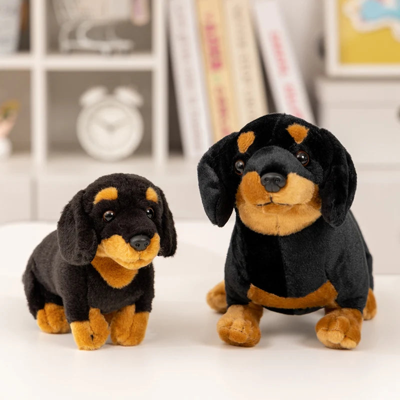 Lifelike Dachshund Plush Stuffed Toy | Black & Tan | 2 Sizes 25–35cm
