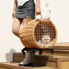 Handwoven Rattan Pet Trolley Carrier – Wheeled Tote Bag for Cats & Dogs, 2 Styles