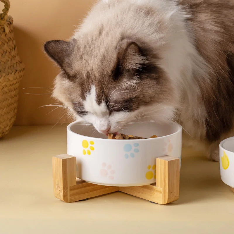 Ceramic Dog & Cat Bowl with Wooden Mat | Wide Mouth | 18 Styles