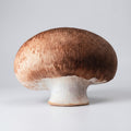 Vegetable & Mushroom Plush Pillows – Realistic Food Designs