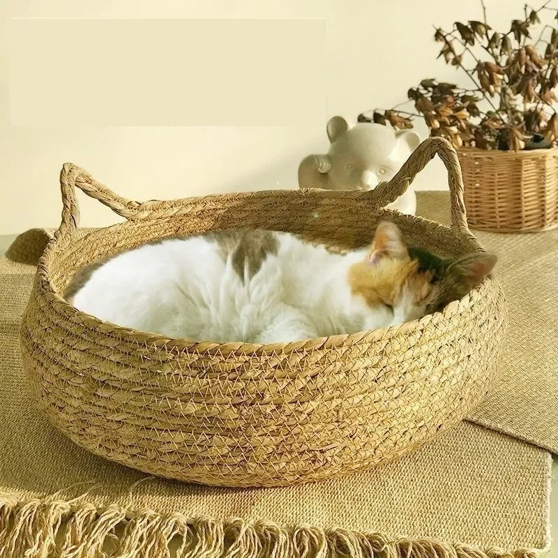 Handwoven Wicker Cat Basket with Cotton Cushion | All-Season | Washable | 3 Sizes