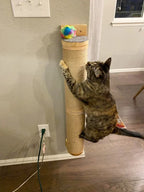 Wall-Mounted Cat Scratching Post & Furniture – Sisal, Hammock & Step Options for Indoor Cats