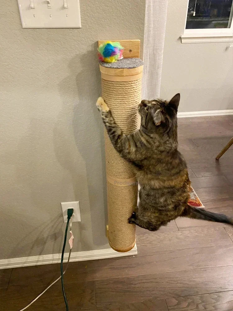 Wall-Mounted Cat Scratching Post & Furniture – Sisal, Hammock & Step Options for Indoor Cats