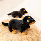 Lifelike Dachshund Plush Stuffed Toy | Black & Tan | 2 Sizes 25–35cm