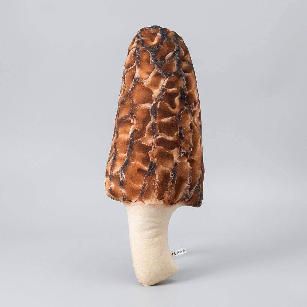 Vegetable & Mushroom Plush Pillows – Realistic Food Designs