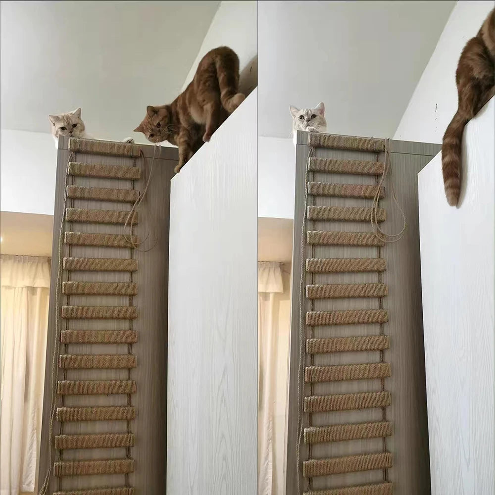 Sisal Wooden Cat Climbing Ladder & Bridge – 50cm or 100cm, Wall & Cage Mountable