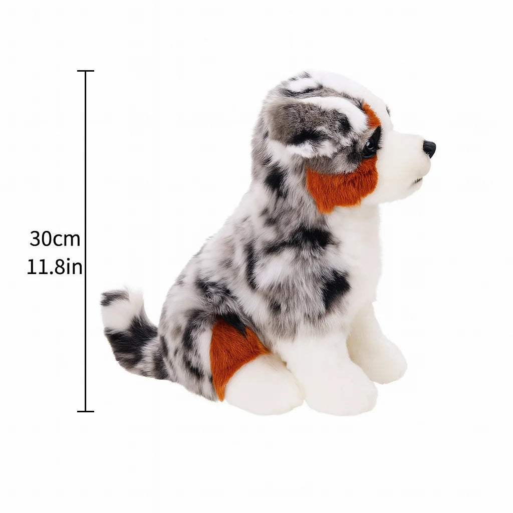 Blue Merle Australian Shepherd Plush Puppy | Soft Long-Pile Coat | Breed-Accurate Merle Markings | 30cm Sitting Companion