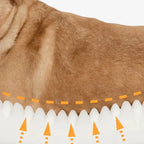 Corduroy Bolster Pet Sofa Bed | Waterproof Inner Cover | Detachable & Washable | 2 Sizes