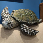 Sea Turtle Plush Toy – Realistic Green Stuffed Animal
