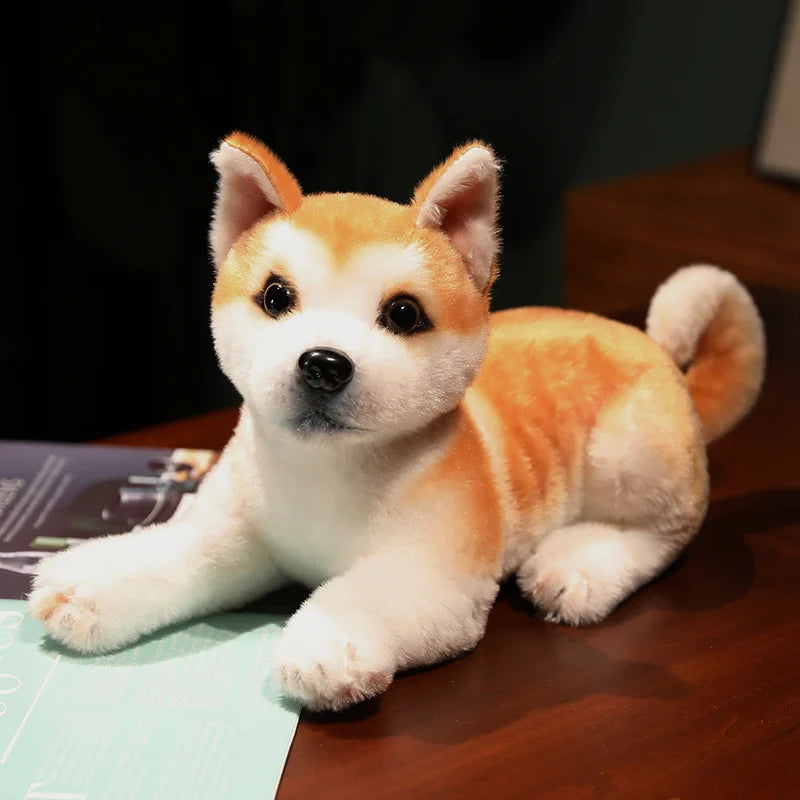 Lifelike Shiba Inu Plush Stuffed Toy | 6 Styles | Simulation Coat | Multiple Poses | Some with Collar & Bell | 25–30cm
