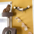 Wall-Mounted Wooden Cat Climbing Shelves – Modular Platforms, Scratching Posts & Hammock