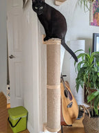 Wall-Mounted Cat Scratching Post & Furniture – Sisal, Hammock & Step Options for Indoor Cats