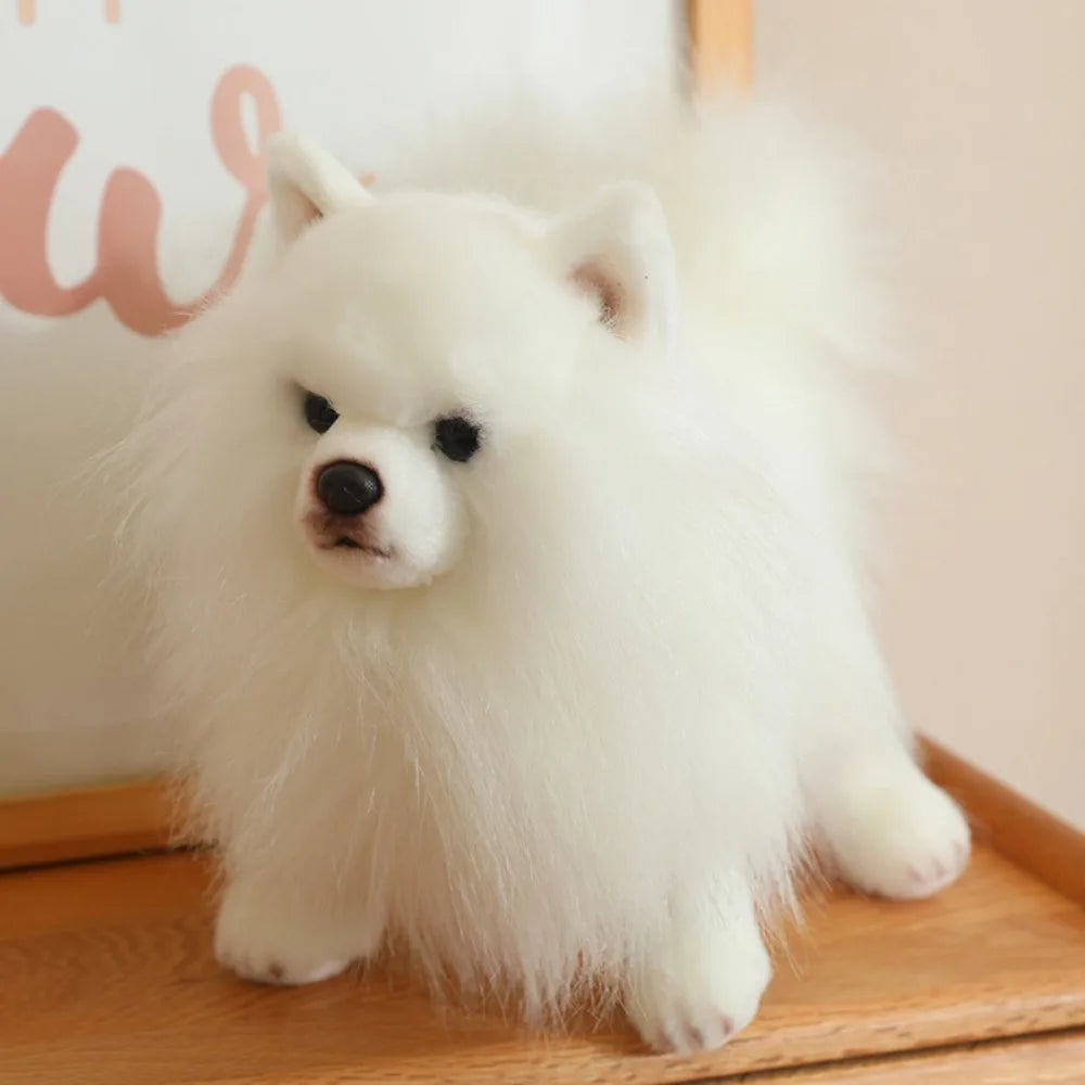 Lifelike Pomeranian Plush Stuffed Toy | Standing Pose | 3 Coat Styles | Simulation Plush | 26cm