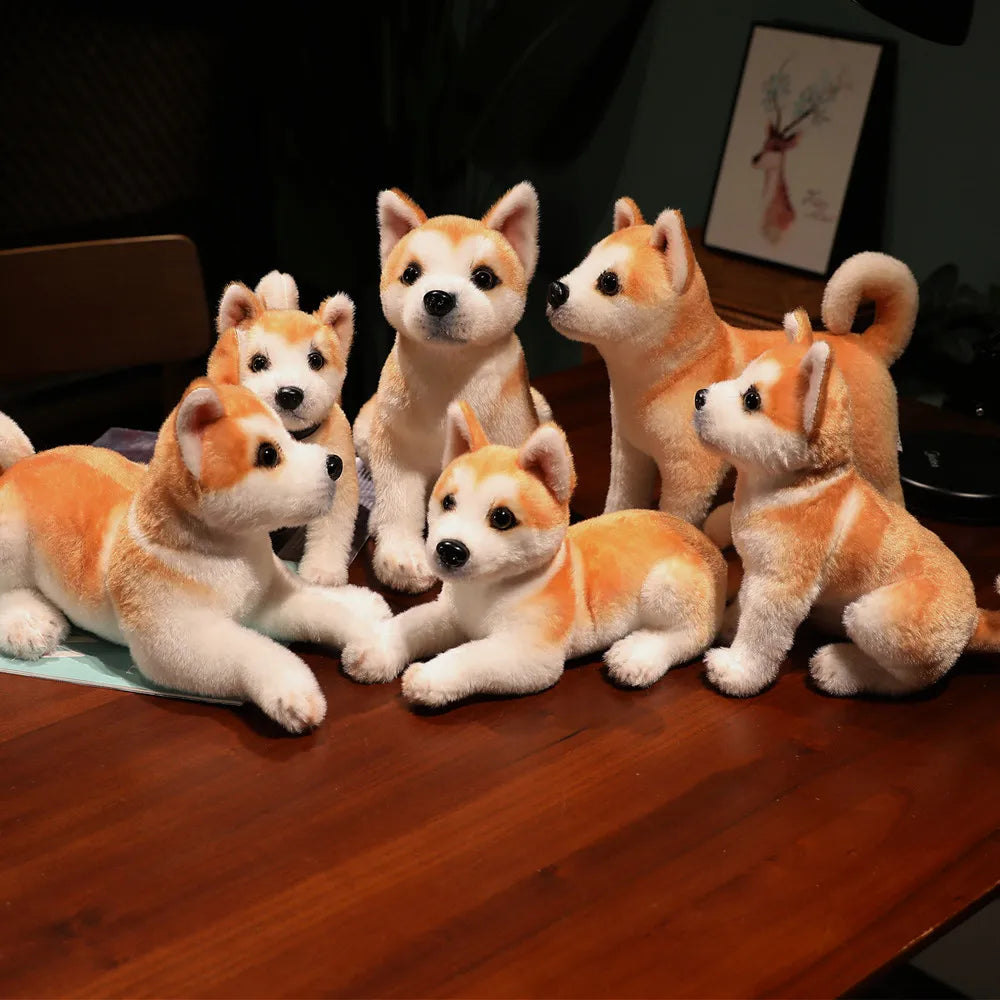 Lifelike Shiba Inu Plush Stuffed Toy | 6 Styles | Simulation Coat | Multiple Poses | Some with Collar & Bell | 25–30cm
