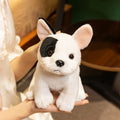 Lifelike French Bulldog Plush Stuffed Toy | White & Black Pied | Upright Bat Ears | Seated Pose | 20cm