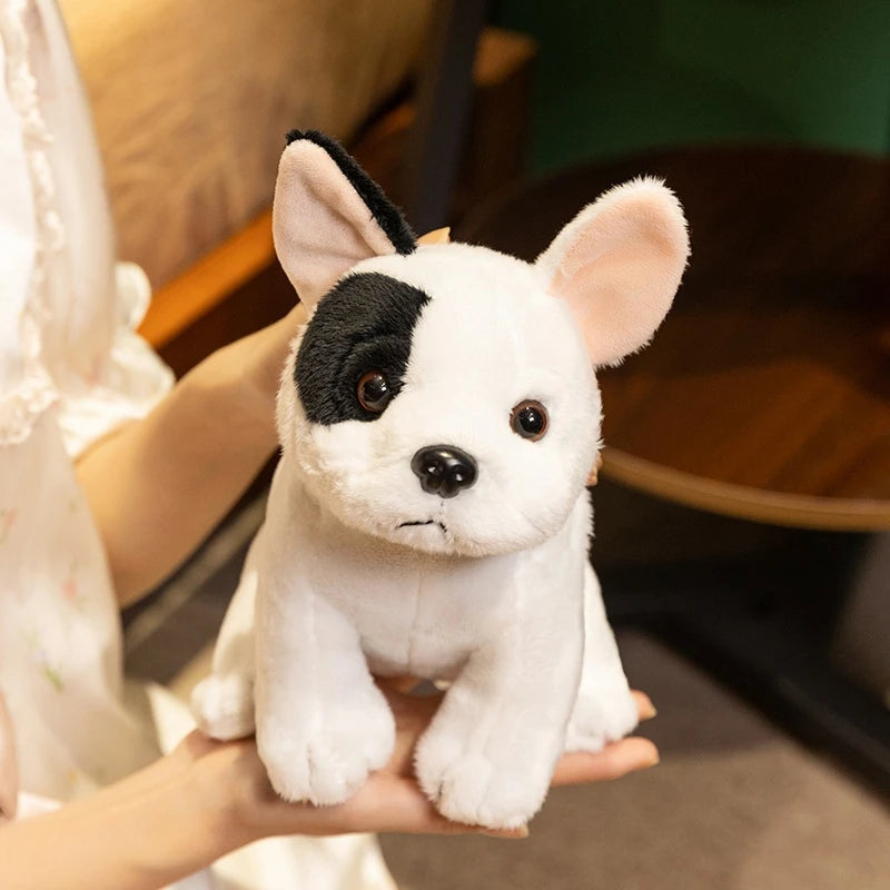 Lifelike French Bulldog Plush Stuffed Toy | White & Black Pied | Upright Bat Ears | Seated Pose | 20cm