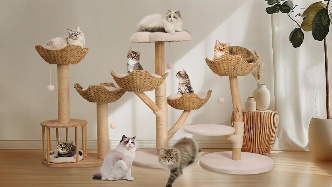 Three-Tier Cat Tree Tower | Natural Willow Wood | Sisal Scratching Post | Beige